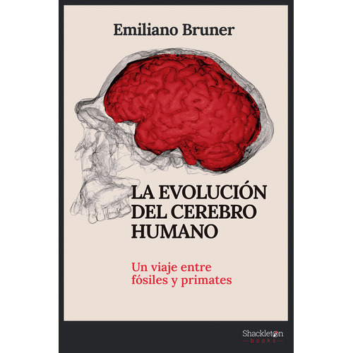 La Evolucion Del Cerebro Humano, De Bruner, Emiliano. Editorial Shackleton Books, Tapa Blanda En Español