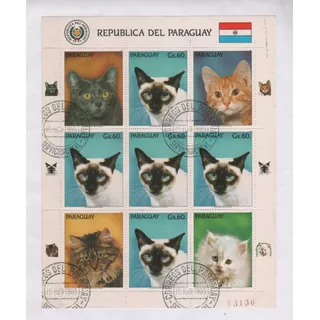 Estampillas De Paraguay Hoja Serie  Animales Gatos Año 1989