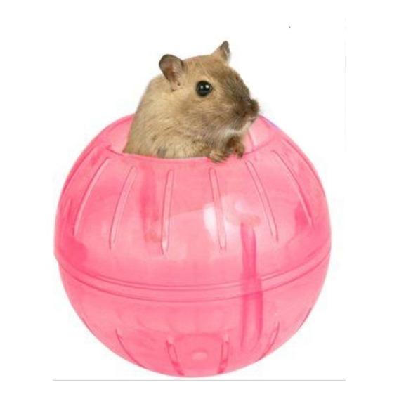 Juguete Bola Esfera Hamster