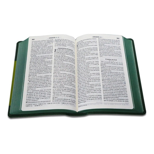 Biblia Reina Valera 1960 Letra Grande  Verde Con Relieve