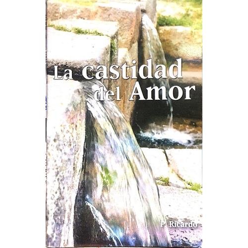 Castidad Del Amor, La, De Padre Martensen, Ricardo L.. Editorial De La Palabra De Dios, Tapa Tapa Blanda En Español