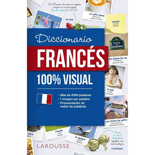 Diccionario De Frances 100% Visual - Aa.vv.