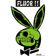 Calco Playboy Fluor 30 X 20 Cm Dos Colores Graficastuning 