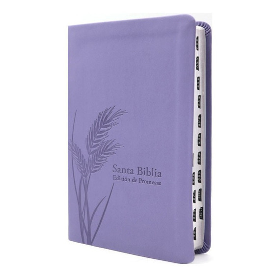 Biblia Reina Valera 1960 Letra Grande Tamaño Manual - Lila