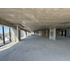 Arriendo De Planta Completa 1123 M2 En Almirante Pastene