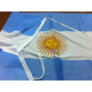Bandera Argentina De Flameo *30x45cms* - Reforzada