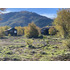 Se Venden Cabañas En Terreno 5000 M2 Malalcahuello