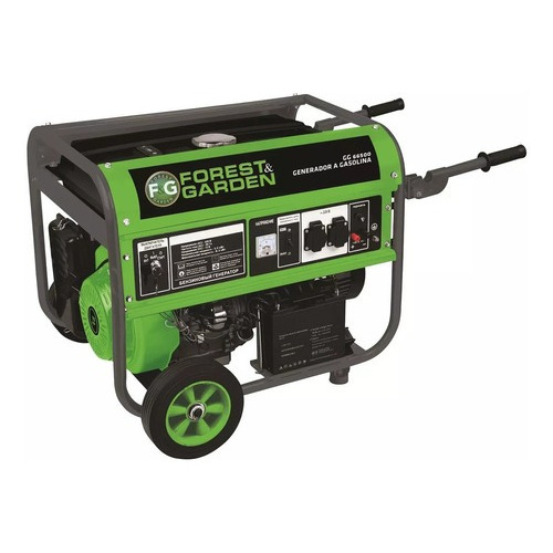 Generador A Gasolina Forest & Garden Gg 66500/50 420cc