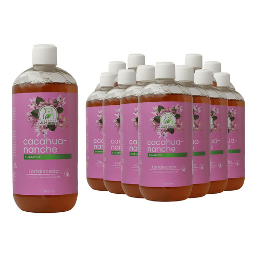  Shampoo De Cacahuananche Cabello Sedoso (500ml) 12 Pack