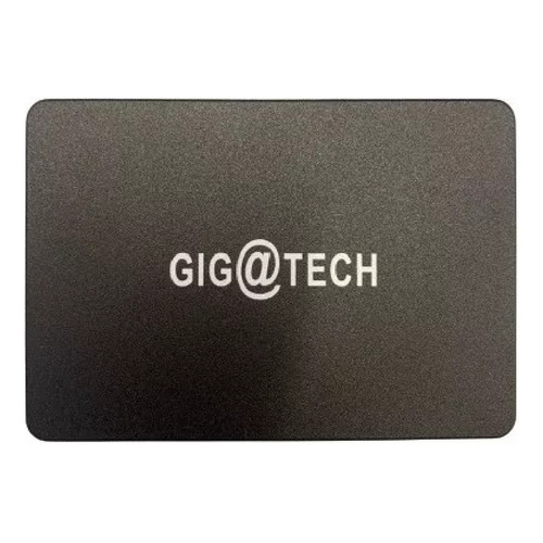 Disco sólido interno GIGATECH Discos FXPRO1000 256GB negro