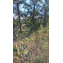 Parcela En Venta En Fresia 7.000.000m2