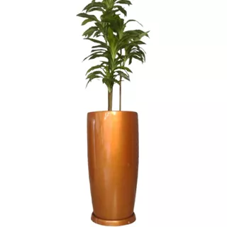 Vaso Para Plantas E Arvores