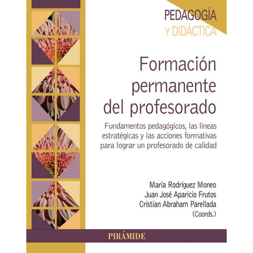FormaciÃÂ³n permanente del profesorado, de Rodríguez Moneo, María. Editorial Ediciones Pirámide, tapa blanda en español