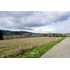 Terreno 5.000 M2 En Venta En Paillaco