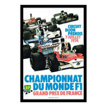 Formula 1 F1 Francia 1974 Reutemann Cuadro Enmarcado 45x30cm
