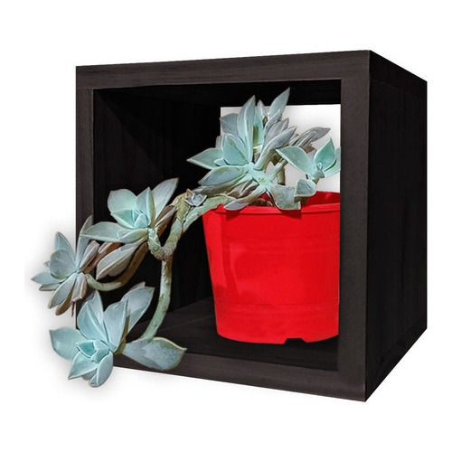 Cubo Estante Madera Organizador Moderno Flotante 20x20x20 Color Negro