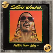 #98 - Cuadro Vintage 30 X 30 Cm / Stevie Wonder No Chapa 