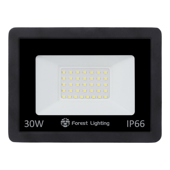 Reflector Led 30w Apto Exterior Ip66 Con Luz Fria Color de la carcasa Negro