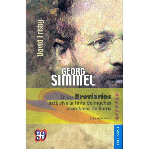 Georg Simmel - David Frisby