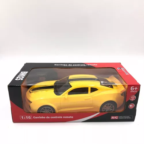 Carro Carrinho Controle Remoto Pickup Corrida 1:16 Infantil em