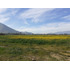 Ultimas Dos Parcelas En Venta En Isla De Maipo