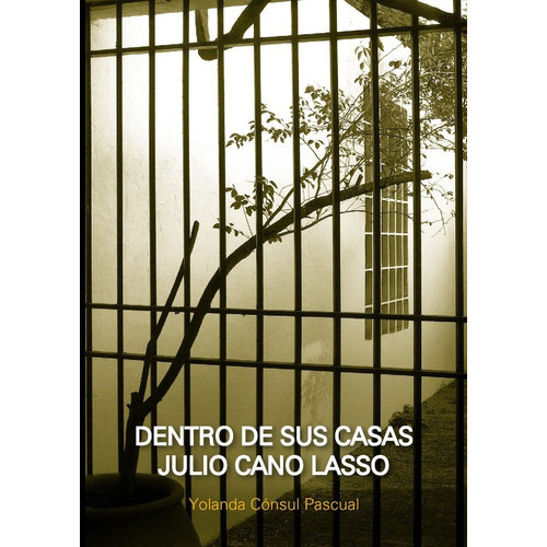 Dentro De Sus Casas Julio Cano Lasso, De Yolanda Consul Pascual. Editorial Nobuko Diseño En Español