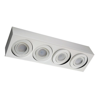 Plafon 4 Luces Cardanico Blanco Lineal Apto Led Gam 4814