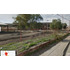 Sitio Comercial En Venta San Felipe 