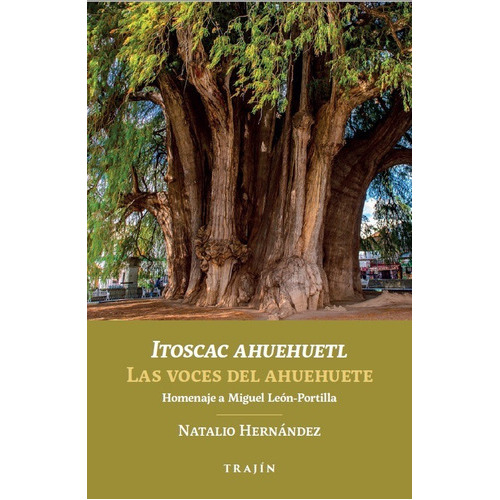 Las Voces Del Ahuehuete / Itoscac Ahuehuetlitoscac Ahuehuetl /, De Hernández, Natalio. Editorial Trajín, Tapa Blanda En Español/náhuatl, 2021