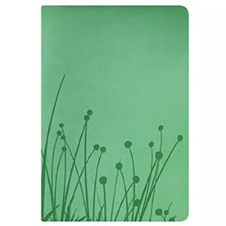 Biblia Rvr 1960 · Personal · Símil Piel Pradera Verde