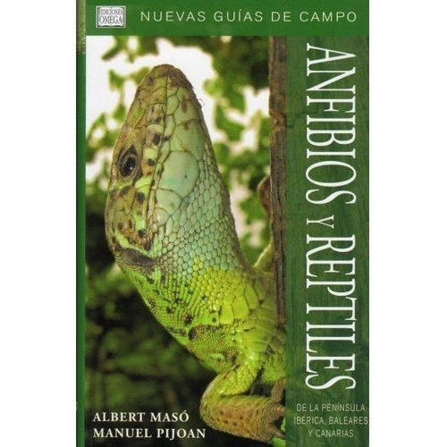 Anfibios Y Reptiles Pen.iberica Bal.y Can., De Maso, A. Y Pijoan, M.. Editorial Omega, Tapa Blanda En Español