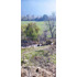 Venta Terreno - Sitio 1500mts San José De Maipo