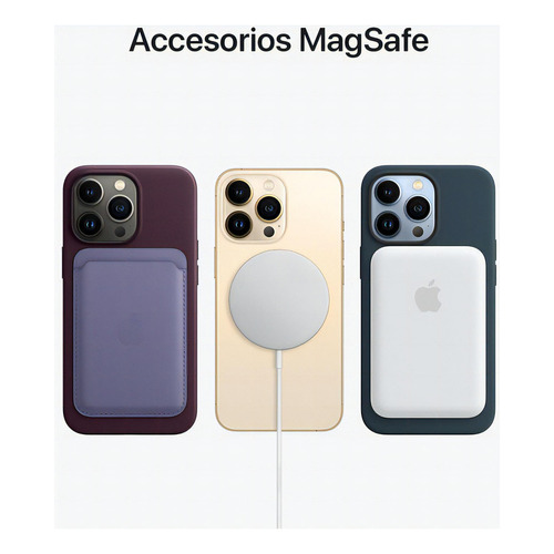 iPhone 13 Pro Silicone Case With Magsafe  Pink Pomelo Nombre Del Diseño Liso Color Azul Marino