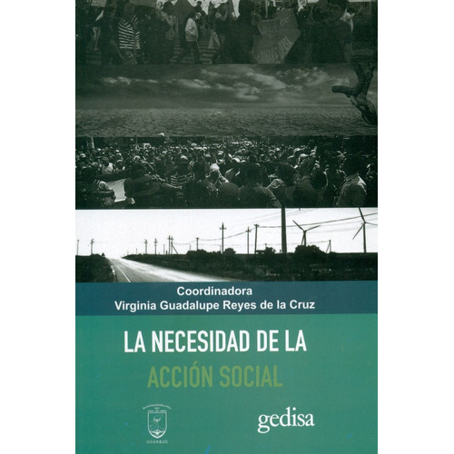 La necesidad de la acción social, de Reyes de la Cruz, Virginia Guadalupe. Serie Bip Editorial Gedisa en español, 2019