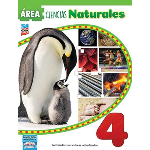 Rea Ciencias Naturales 4 - Segundo Ciclo Escuelas Primarias, De Vv. Aa.., Vol. 2019. Editorial Ediba, Tapa Blanda En Español, 2019