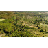 Inversión Segura Parcela 5042 M2 Con Vistas Y Pozo Propio