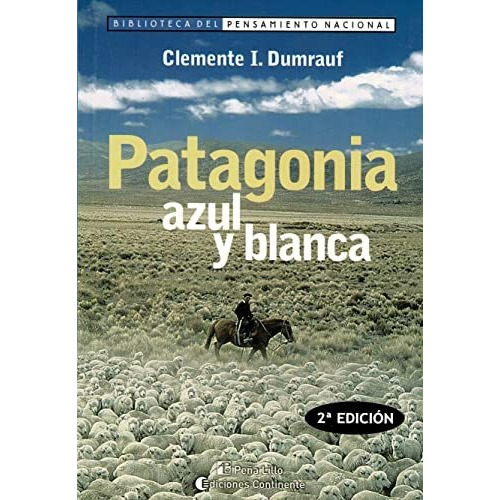 Patagonia Azul Y Blanca