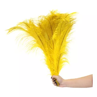 Penas De Avestruz Plumas Coloridas Palito Fantasias 100g