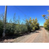Oportunidad Parcela 5.000 Mts (93879)