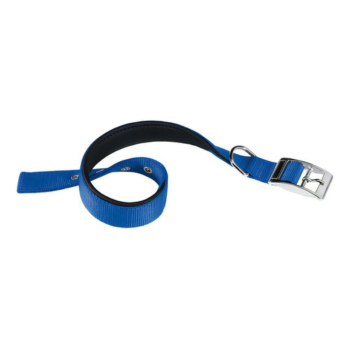 Collar Perro Ferplast Daytona Talle L53 / Mundo Mascota Color Azul