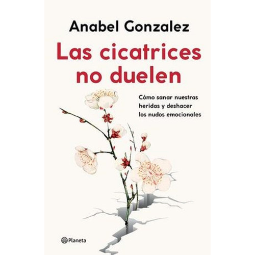 Libro Las Cicatrices No Duelen [ Anabel Gonzalez ] Original