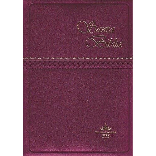 Biblia Rvr60 Bolsillo Vinil Con Concordancia, Color Vino., De Rv1960. Editorial Sociedad Bíblica De México En Español