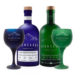 Combo Gin Aconcagua + Aconcagua Lime + Copas Paladar Negro 