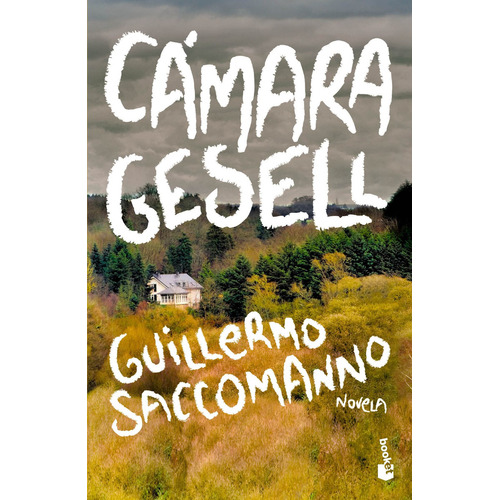 Camara Gesell - Guillermo Saccomano