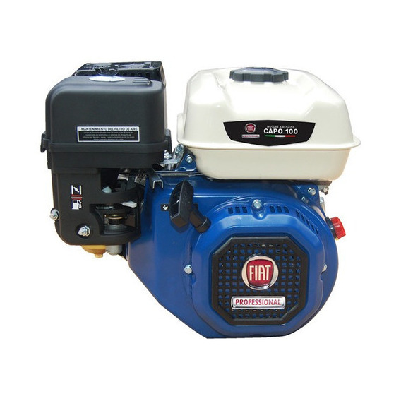 Motor A Gasolina Fiat Professional Capo 100 10 Hp