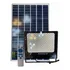 Reflector Solar Led 300w Con Control Dura Toda La Noche
