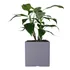 Maceta Plástica Rotomoldeada Modelo Cubo N 40 Moderna Amalfi Color Gris Grafito