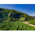 Terreno De 1 Hectárea Con Bosque Nativo (134033)