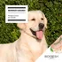 Biofresh Super Premium alimento para perro adulto de raza mini y pequeña sabor pollo de 10.1kg