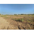 Terreno Agrícola En Venta, Campo De 60 Ha, Teno
